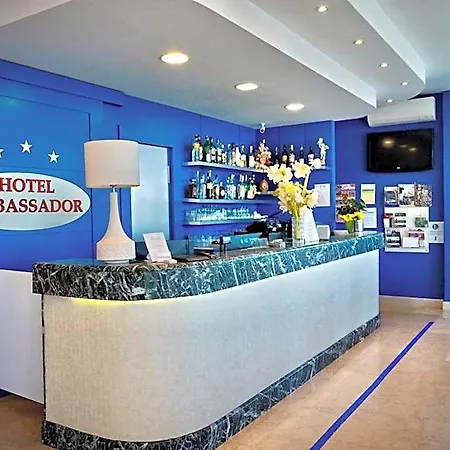 Ambassador 호텔 3*